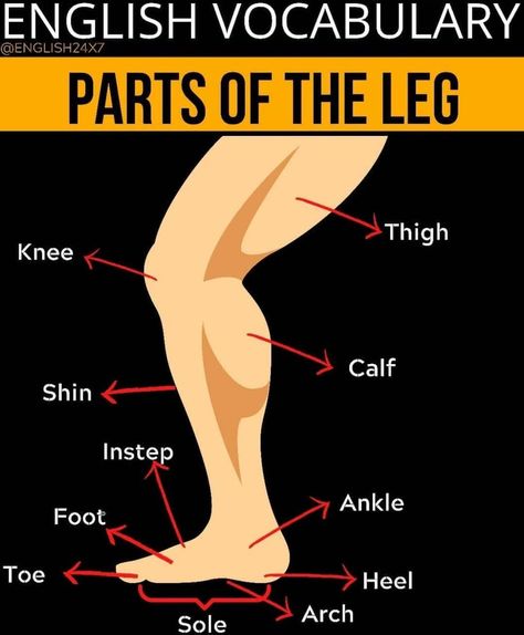 Prepositional Phrases, English Vocab, Daily Facts, English Tips, Words To Use, English Learning, Parts Of Speech, How Big Is Baby, Human Anatomy