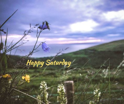 Shop Small Saturday Image, Happy Saturday My Love, Happy Saturday Cat Images, Saturday Morning Memes Funny, Saturday Greetings, The Saturday Evening Post, Happy Day Quotes, Happy Saturday, Good Morning Quotes