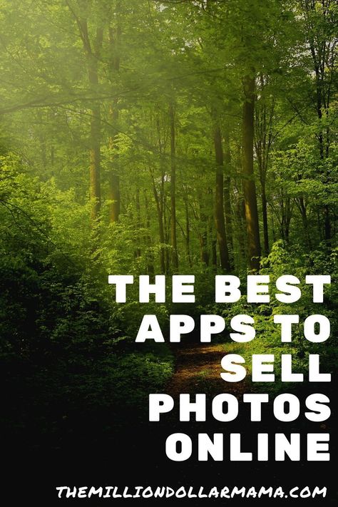 Selling Stock Photos Online, Sell Photos Online, Make Money Photography, Selling Photography, Selling Photos Online, Selling Photos, Photography Settings, App Pictures, Photography Resources