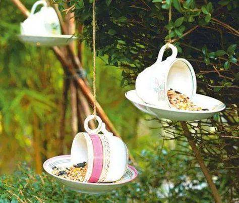 Tea Cups Diy, Diy Bird Feeder, Diy Birds, Have Inspiration, Diy Cups, Tea Cups Vintage, Bird Feeder, Garden Crafts, Gifts For Pet Lovers