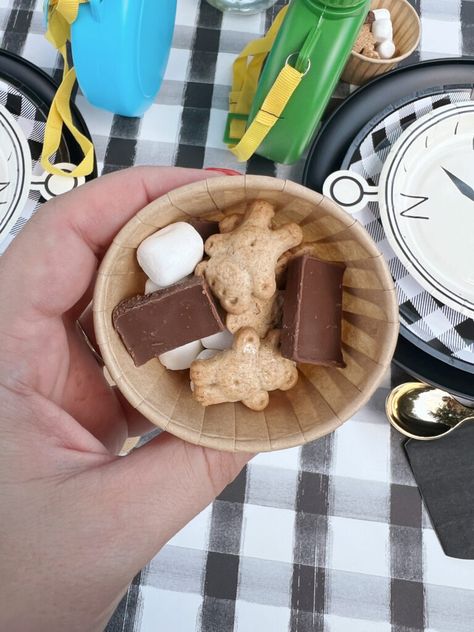 Camping Themed Birthday Party S’mores Themed First Birthday, Camp Party Theme, Camping Birthday Party Food, Camp Themed Birthday Party, Camp Theme Party, Camp Themed Party, Camping Party Decor, Camp Themed Birthday, Camping 1st Birthday