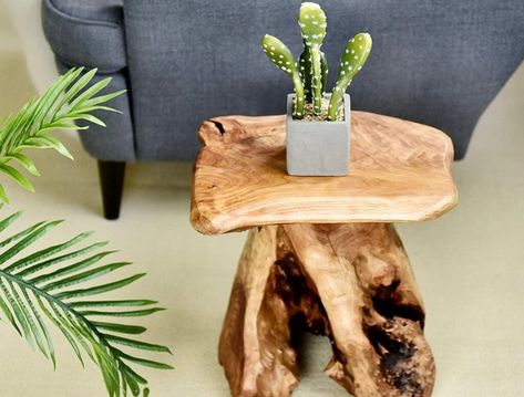 The Best Indoor Plant Stand Options of 2022 - Bob Vila Wood Stump Side Table, Stump Stool, Extraordinary Artwork, Tree Stump Side Table, Mushroom Stool, Side Table Plant, Rustic Wood Floating Shelves, Coffee Table Base, Wood Projects That Sell