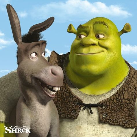 Shrek - Shrek and Donkey Graphic Art Print on Canvas Art Group Size: 40cm H x 40cm W x 3.8cm D Shrek And Donkey, Donkey Drawing, Shrek Donkey, Pirate Fairy, Adventure Movie, The Good Dinosaur, Computer Animation, Leonid Afremov Paintings, Best Duos