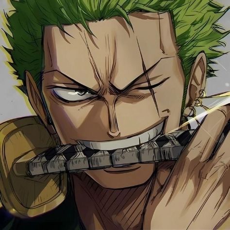 High Quality Pfp, One Piece Stuff, Quality Pfp, Zoro Icons, One Piece Aesthetic, رورونوا زورو, Famous Pictures, Zoro Nami, Anime Drawing Books