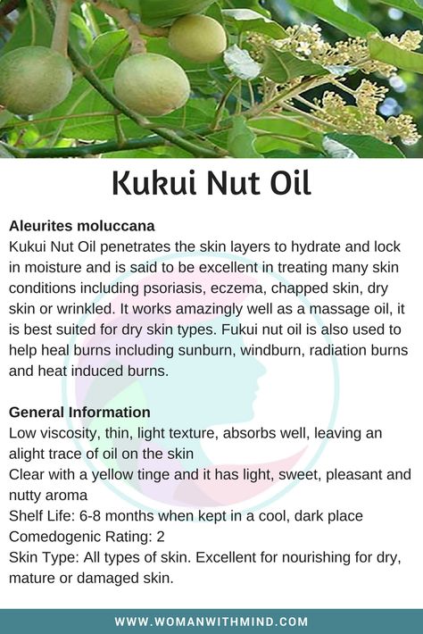 Tamanu Oil Benefits Skin Care, Apricot Kernel Oil Benefits, Diy Ayurvedic Hair Oil, Kukui Oil, Essential Oils Collection, Kukui Nut, Essential Oil Carrier Oils, Macadamia Nut Oil, Essential Oil Remedy