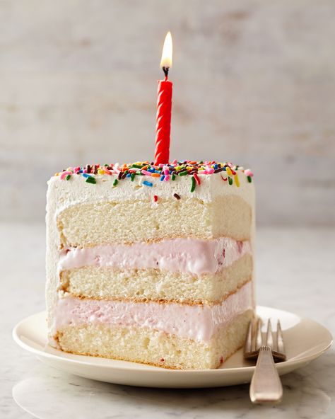 Ice Cream Cake Recipe Homemade, Springform Pan Recipes, Freezer Treats, Layered Ice Cream Cake, School Cakes, Best Ice Cream Cake, 23 Birthday Cake, Frozen Deserts, Birthday Cake Recipes