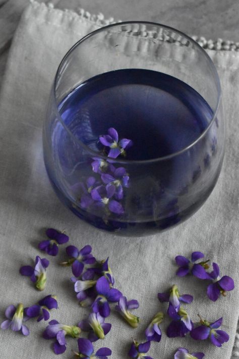 Beautiful Blue Tea with Foraged Violets | indie herbalist Edible Roots, Spring Salads, Tea Blends Recipes, Aphrodisiac Foods, Pumpkin Tea, Spring Treats, Jewish Food, Tea Plant, Violet Plant