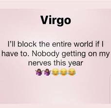 Virgo Funny, Funny Virgo Quotes, Horoscope Signs Virgo, August Virgo, Block Family, Virgo Energy, Horoscope Virgo, Virgo Astrology, Virgo Woman