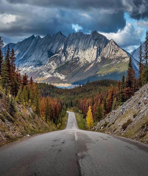 A road through Jasper National Park - 9GAG Canada Places, Canada Aesthetic, Jasper National Park Canada, Fall Road Trip, Jasper National Park, Canadian Rockies, Canada Travel, Travel Aesthetic, Land Scape