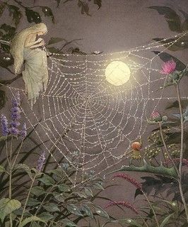 spider web | Glenda Cox | Flickr Spider Web, In The Middle, The Middle, Moon, Plants, Flowers