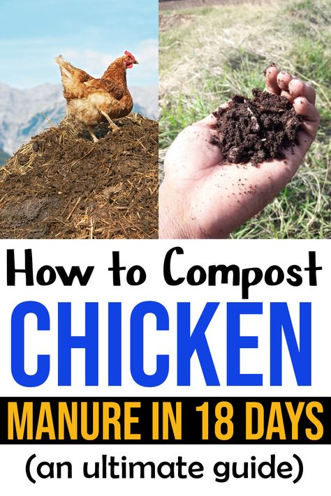 Chicken Manure Compost Bin, Chicken Manure Tea, Composting Chicken Manure, Chicken Fertilizer, Chicken Manure Compost, Allotment Planning, Chicken Composting, Chicken Coups, Smart Gardening