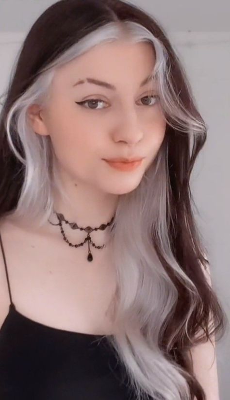 Dyed Hair White And Black, Brown Hair With A White Streak, Color For White Hair For Women, Rachbirt Hair, Brown And White Hair Color, Dark Hair With White Underneath, White And Dark Brown Hair, Brunette And White Hair, Half Silver Half Black Hair