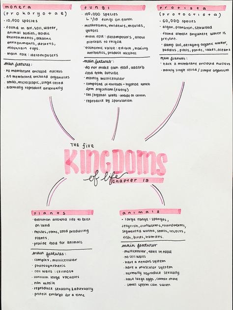 Kingdom Monera Notes, Kingdom Monera, Ecology Notes, Zoology Student, Zoology Career, Biology Flashcards, Speech Therapy Activities Elementary, Biological Classification, Biological Molecules