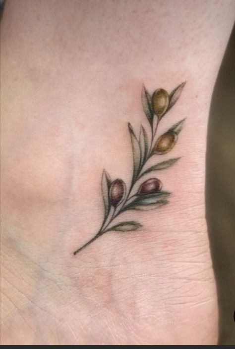 Small Olive Tree Tattoo, Minimalist Olive Branch Tattoo, Small Olive Tree, Olive Tree Tattoo, Olive Tree Tattoos, Olive Tattoo, Olive Branch Tattoo, Branch Tattoo, Tat Ideas