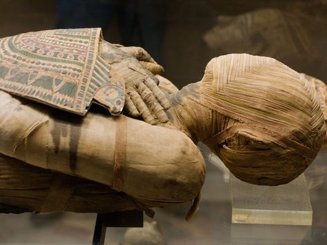 Mummy Carbon Dating, The Mummy, Fossil Fuels, Interesting Information, If Only, Image Photography, Archaeology, Fossil, Stock Photography