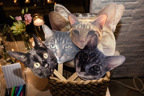 Cat mask props for photo booth at Walden spring wedding reception Cat Of Honor Wedding, Cat Theme Wedding Ideas, Cat In Wedding Ceremony, Cat Wedding Decorations, Incorporate Cat In Wedding, Ways To Incorporate Cats In Wedding, Wedding With Cats, Cat Wedding Favors, Cat Wedding Decor