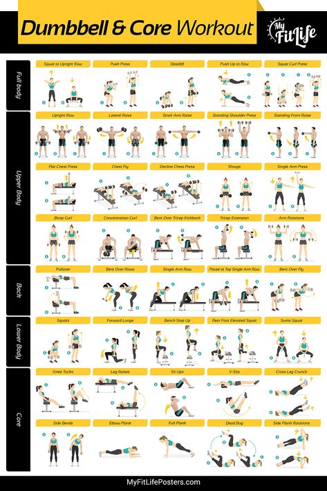 My Fit Life Gym Dumbbell and Core Workout Poster Laminated : Illustrated Guide with 40 Exercises for Full Body and Core : Hang in Your Home or Gym, for Men & Women, 24” x 36": Amazon.co.uk: Sports & Outdoors Core Workout Gym, Gym Dumbbell, Gym Dumbbells, Full Body Dumbbell Workout, Gym Workout Plan For Women, Dumbell Workout, Gym Workout Chart, Gym Workouts For Men, Gym Workouts Women