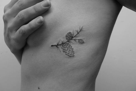 Pine Cone Tattoo by shortyloco Simple Pinecone Tattoo, Pine Needles Tattoo, Pinecone Tattoo Design, White Pine Cone Tattoo, Pinecone Tattoo Minimalist, Tattoo Pinecone, Pine Needle Tattoo, Douglas Fir Cone Tattoo, Dab Tattoo