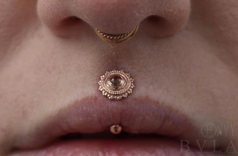 Southbay & Long Beach Piercing on Instagram: “Repost @envybodypiercinglb If you’ve been in the studio in the last year or so, chances are Robin (@countergoblin) has probably helped you…” Vertical Philtrum, Bvla Jewelry, Vertical Labret Piercing, Philtrum Piercing, Ear Style, Labret Piercing, Facial Piercings, Body Piercings, Lip Piercing