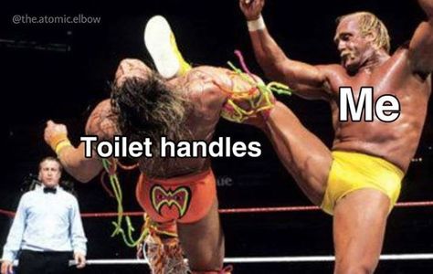 Twenty-Three Dank Wrestling Memes Brought To You By 'The Atomic Elbow' Funny Drunk Texts, Wrestling Memes, Monday Humor Quotes, Senior Quotes Funny, Toilet Handle, Animal Tumblr, Drunk Humor, 9gag Funny, Funny Animal Quotes