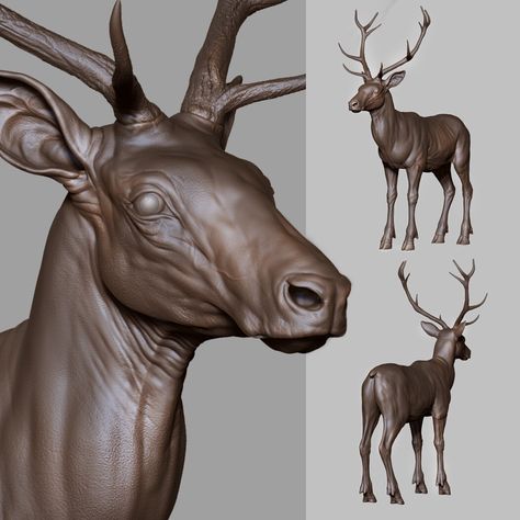 Zbrush Models, Deer Drawing, Hindu Statues, Angel Statues, Creature Concept Art, Creature Concept, Anatomy Art, Animal Sculptures, Creature Design