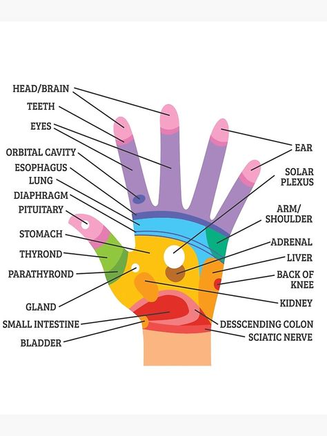 Hand Reflexology, Hand Massage, Reflexology, Greeting Card Design, Health And Wellbeing, Science Poster, Anatomy, Photographic Print, Stranger Things Fanart