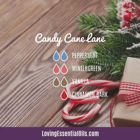 Wintergreen essential oil emotional benefits by Loving Essential Oils | Candy Cane blend with peppermint, cinnamon and vanilla Cassia Essential Oil, Christmas Diffuser Blends, Essential Oil Diffuser Blends Recipes, Yl Essential Oils, Oil Diffuser Recipes, Essential Oil Diffuser Recipes, Essential Oil Mixes, Essential Oil Blends Recipes, Vanilla Essential Oil