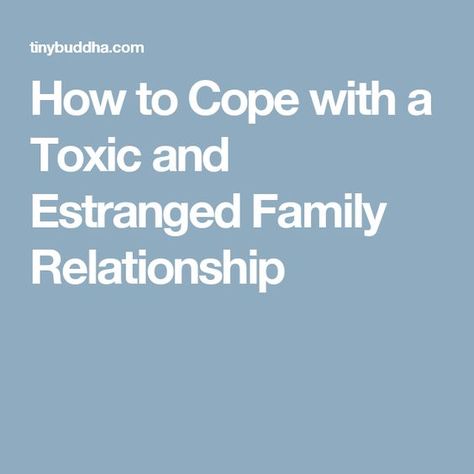 Estranged Family, Family Estrangement, Survivor Quotes, Family Quotes Funny, Manipulative People, Family Conflict, Toxic Family, Dysfunctional Family, Bad Relationship