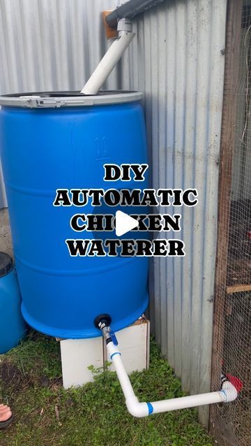 Rain Water Collection System For Chickens, Chicken Water Feeder Ideas, Poultry Watering System, Self Watering Chicken Waterer, Diy Chicken Coop Watering System, Chicken Feeder And Waterers Diy, Chicken Water And Feeder Ideas, Water Chicken Coop, Water For Chickens Diy