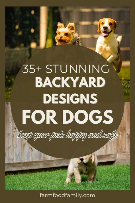 35+ Backyard Landscaping Ideas for Dogs 58 Dog Friendly Sloped Backyard, At Home Dog Park, Backyard Ideas With Dogs, Dog Backyard Ideas Landscaping, Zero Scape Landscaping Backyard For Dogs, Dog Proof Backyard Landscaping, Backyard Dog Park, Dog Backyard Ideas, Dog Park Ideas