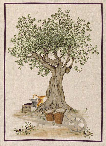 Olive Tree Painting, Flower Farmer, Green Towels, Still Life Drawing, Tarot Art, Tree Drawing, Olive Tree, Flower Lover, Life Drawing