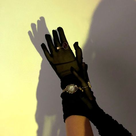 Gloves With Rings On Top, Glove Photo Shoot, Black Gloves Photoshoot, Black Gloves Aesthetic, Gloves With Rings, Katie Core Aesthetic, Katie Core, Gloves Photography, Hand With Ring