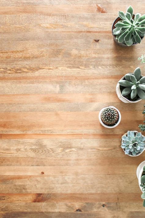 1000+ Engaging Interior Design Photos · Pexels · Free Stock Photos Flatlay Background, Ground Photo, Hands Design, Little Einsteins, Food Backgrounds, Interior Design Photos, Green Photo, Photos Hd, Succulent Plants