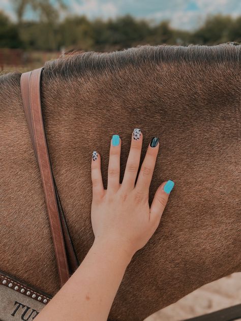 Navy Blue Western Nails, Black Cow Print Nails, Blue Cow Print Nails, Birth Nails, Blue And Black Nails, Cowgirl Nails, Rodeo Nails, Fingernail Ideas, Cow Print Nails