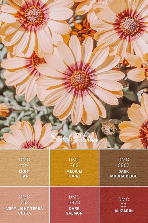 Floral Color Combinations, Dmc Yellow Palette, Yellow Ocher Color Palette, Flower Embroidery Color Palette, Golden Rod Color Palette, Salmon Color Combinations, Dark And Light Color Combinations, Tan Color Combinations, Stitch Palette Dmc