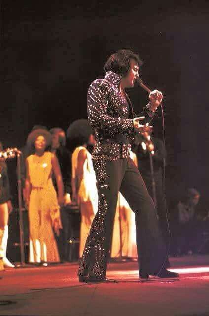 Elvis on April 14, 1972 in Greensboro, NC Black Elvis, Elvis On Tour, Elvis Concert, Elvis Presley Concerts, Elvis Jumpsuits, Graceland Memphis, Tupelo Mississippi, King Elvis Presley, Blue Fireworks