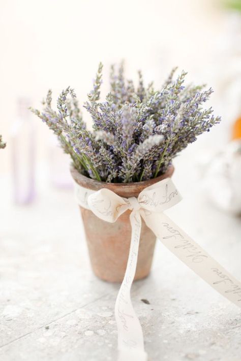 beautiful lavender wedding inspiration wedding favors Lavender Centerpieces, Lavender Wedding Bouquet, Potted Lavender, French Wedding Style, Dreamy Whites, Wedding Themes Fall, 강아지 그림, Lavender Farm, בר מצווה