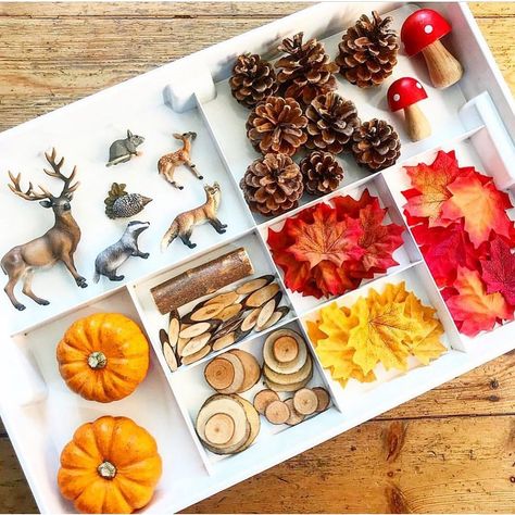 Anna - The Imagination Tree on Instagram: “🍂🍁AUTUMN PLAY TRAY! 🍁 . Gorgeously sunny and warm this week but I’m already excited for a season shift! I absolutely LOVE Autumn and all…” Autumn Sensory Bin, Sensory Bin Ideas, Fall Sensory Bin, Imagination Tree, Autumn Woods, Winter Play, Fall Preschool Activities, Sensory Crafts, Tuff Tray