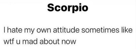 Scorpio Memes Funny So True, Memes Funny So True, Scorpio Meme, Best Zodiac Sign, Zodiac Funny, Zodiac Memes, Scorpio Zodiac, Memes Funny, Scorpion