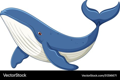 Whale Clip Art, Whale Vector, Whale Clipart, Whale Pictures, Inktober 2024, Blue Whale, Whales, Png Images, Art Images