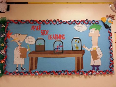 Phineas and Ferb bulletin board I made for 7th grade life science.  Can you spot Perry? Phineas And Ferb Door Decs, Phineas And Ferb Decorations, Phineas And Ferb Bulletin Board, College Bulletin Boards, Ra Themes, Resident Advisor, Library Bulletin Board, Ra Boards, Teacher Bulletin Boards