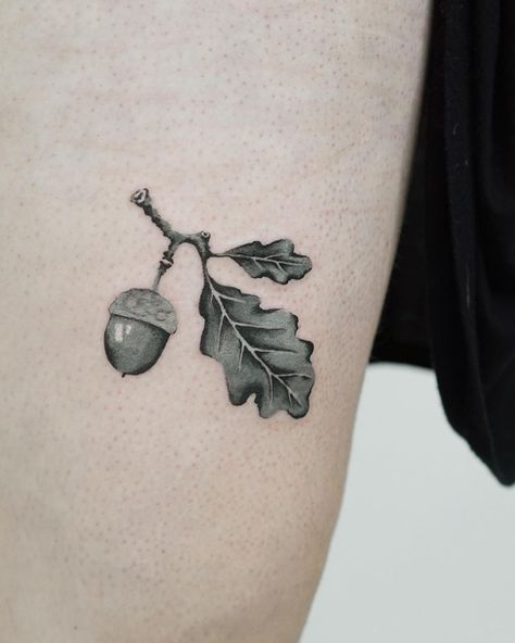 Ola | tattoo artist on Instagram: “A watercolor oak branch for Emma. Thank you for coming from London! Done in @inkandwatertattoo #watercolortattoo #torontotattoo #inkandwater” White Oak Tree Tattoo, Larch Tattoo, Oak Branch Tattoo, Oak Leaves Tattoo, Maple Seed Tattoo, Oak Leaf Tattoo, Oak Tattoo, Oak Leaf Tattoos, Seed Tattoo