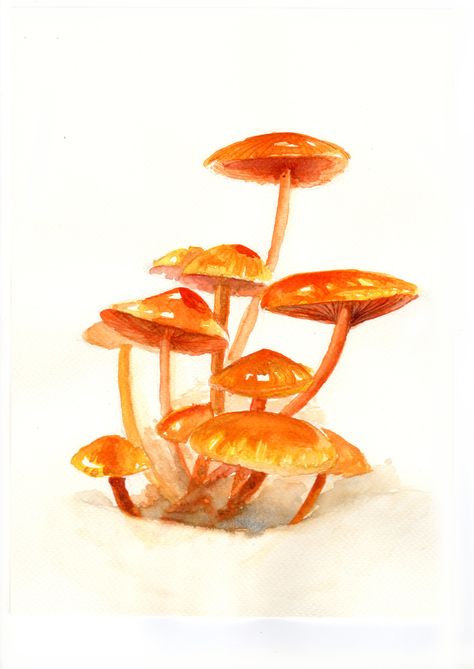 Sketch_mushroom_25 Sketch Mushroom, Mini Paintings, Art Watercolor, Painting Ideas, Art Ideas, Watercolor Art, Coloring Books, Stuffed Mushrooms, Arts And Crafts