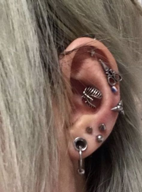 Ear Setup, Small Stretched Ears, Cool Ear Piercings, Pretty Ear Piercings, Cool Piercings, Cute Piercings, 3d Tattoos, Types Of Piercings, Jewelry Tattoo