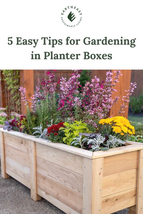 Best Planter Box Flowers, Raised Planters Around Patio, Outdoor Box Planters, Planter Box On Deck, Raised Planter Boxes Flowers, Planter Boxes Plants Ideas, Large Flower Boxes Outside, Flowers In Planter Boxes, Wildflower Box Garden