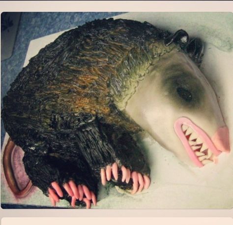 Possum cake Possum Cake, Pimple Cupcakes, Possum Birthday, Gross Cakes, Litter Box Cake, Brain Cake, Birth Cakes, Charm City Cakes, Zombie Cake