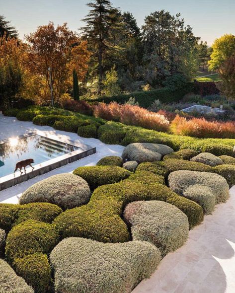 Garden Hedges, Spanish Garden, Landscape Architecture Design, Garden Landscape Design, Plant Design, Japanese Garden, Architectural Digest, Outdoor Design, Modern Garden