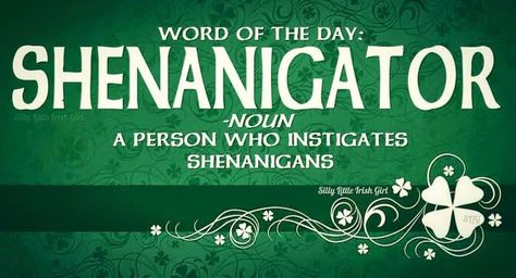 word of the day: Shenanigator: noun, a person who instigates shenanigans Irish Proverbs, Irish Eyes Are Smiling, Irish Quotes, Irish Roots, Irish Funny, Irish Pride, Irish Eyes, Irish Blessing, Irish Heritage