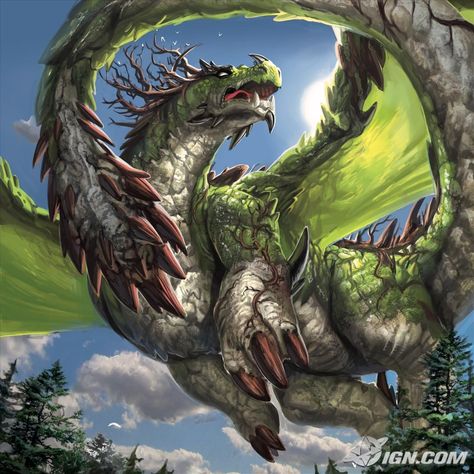 Dragon Medieval, Earth Dragon, Types Of Dragons, Fantasy Dragons, Here There Be Dragons, Dragon's Lair, Cool Dragons, Here Be Dragons, Water Dragon