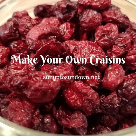 Learn how to make your own craisins using fresh or frozen cranberries. Making your own craisins is not only easy but inexpensive! Craisins Recipes, Frozen Cranberries, Fresh Cranberries, Dehydrator Recipes, Dried Cranberries, Something Sweet, Dried Fruit, Other Recipes, How To Make Your